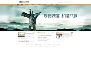 中天金融网站设计效果图